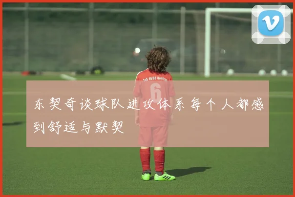 东契奇谈球队进攻体系每个人都感到舒适与默契