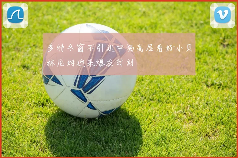 多特冬窗不引进中场高层看好小贝林厄姆迎来爆发时刻