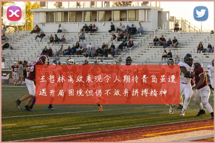 王哲林高效表现令人期待青岛虽遭遇开局困境但仍不放弃拼搏精神