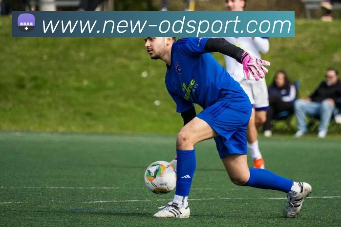 OD体育发展历程